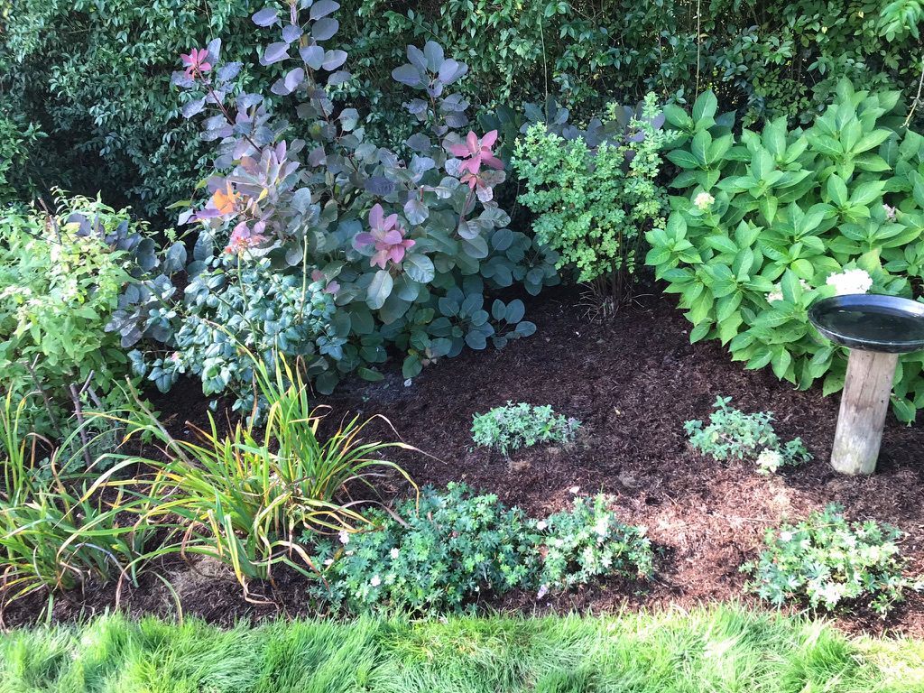 mulching beds