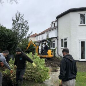 Clearance of the garden