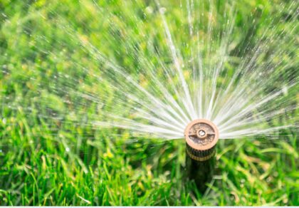 Garden irrigation