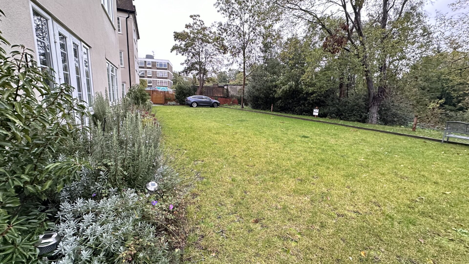 eco friendly car park