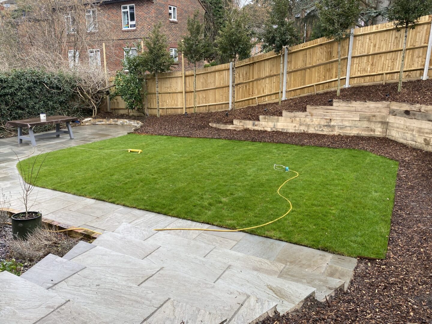 New lawn Dorking