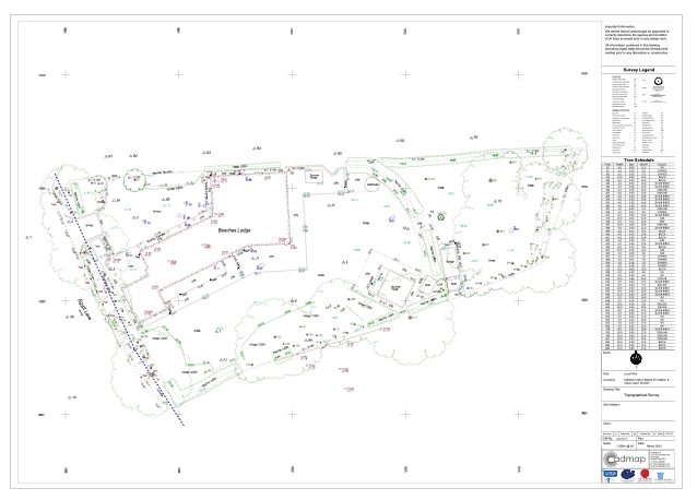 Topographical Survey