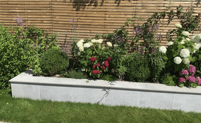 Slatted fencing and planting