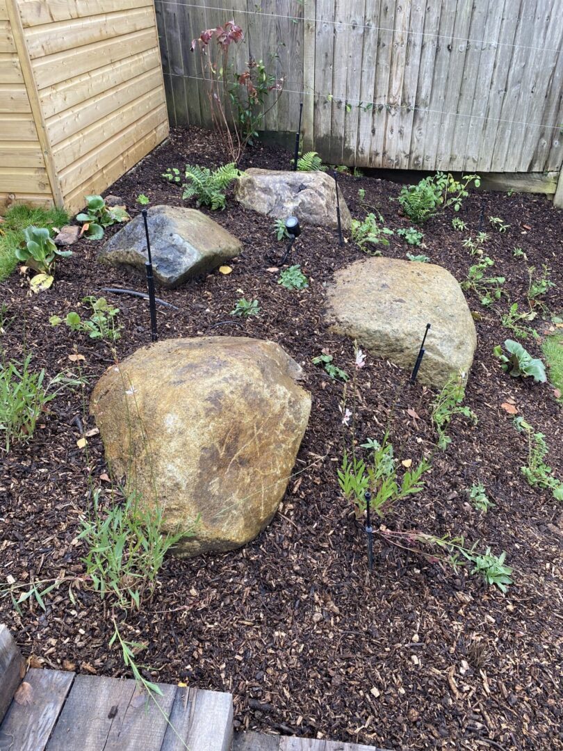 Boulders in landscaping